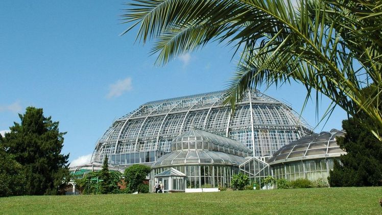 Das Große Tropenhaus des Botanischen Gartens und des Botanischen Museums Berlin. Bild: I. Haas.
