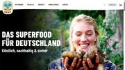 Screenshot der neuen DKHV Webseite.