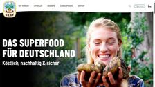 Screenshot der neuen DKHV Webseite.