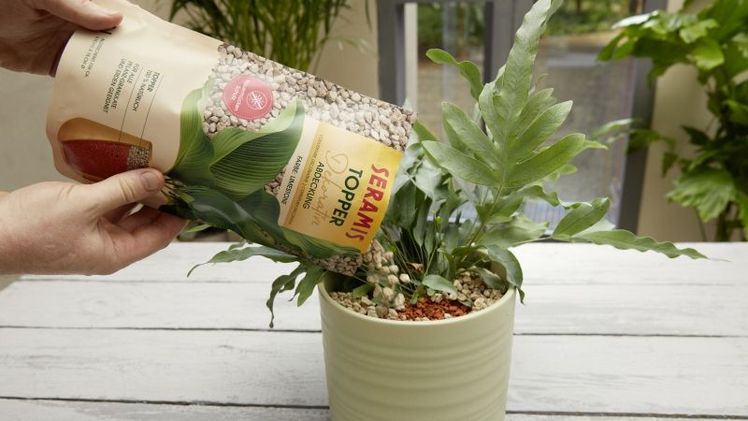 Seramis Topper Limestone. Bild: Seramis. 