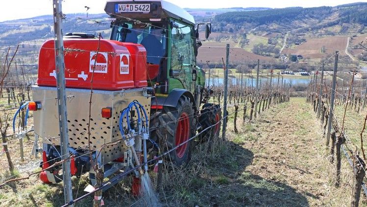Im Weinberg in Veitshöchheim wurde das aufspritzbare Mulchmaterial ausgiebig getestet. Bild: TFZ.