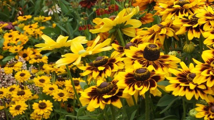 Die Beeinträchtigung durch den Autoverkehr soll möglichst gering gehalten werden. Bild: GABOT.