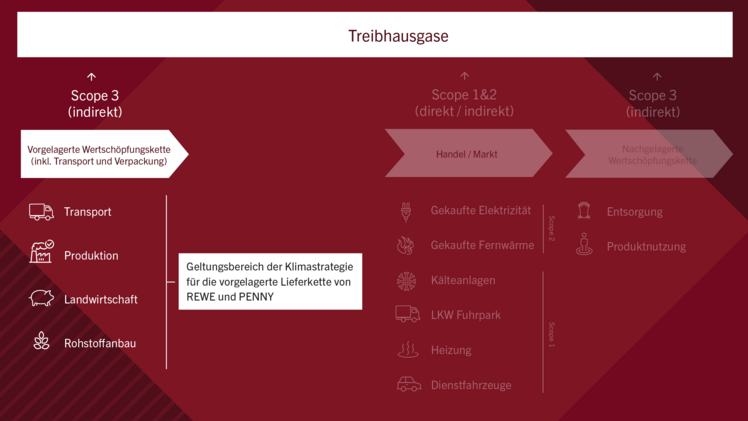Die REWE Group möchte die Treibhausgasemissionen in den vorgelagerten Eigenmarken-Lieferketten von REWE und PENNY in Deutschland um 15% bis Ende 2030 im Vergleich zu 2019 senken. Bild: REWE.