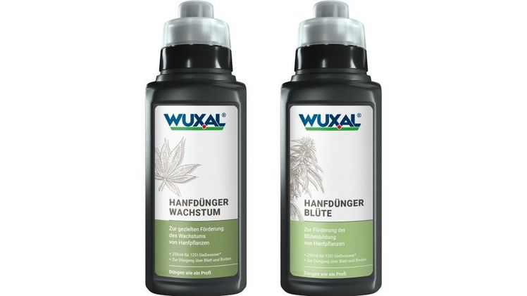 Wuxal® Hanfdünger bietet eine effiziente Düngung über Boden und Blatt. Bild: © Hauert MANNA Düngerwerke GmbH.