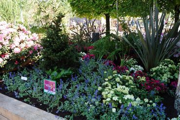 Impressionen von der RHODO 2023. Bild: GABOT.