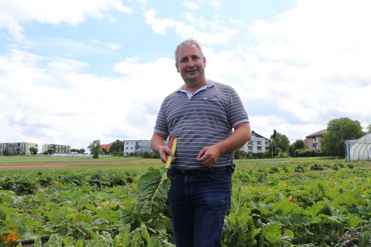 Das Zusammenstellen von verschieden farbigem Gemüse macht Christoph Johner viel Freude. Bild:as.