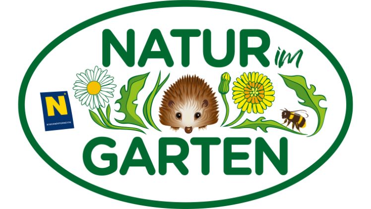Webinar „Gartentipp des Tages“ - Bodenkur mit Gründüngung Gartenböden. Bild: "Natur im Garten"