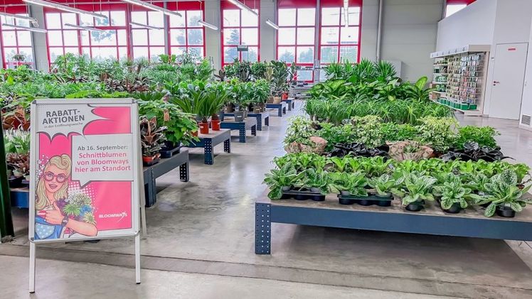 Bloomways eröffnet eine neue Verkaufsstelle im Landgard-Cash & Carry-Markt Erfurt. Bild: © Landgard.