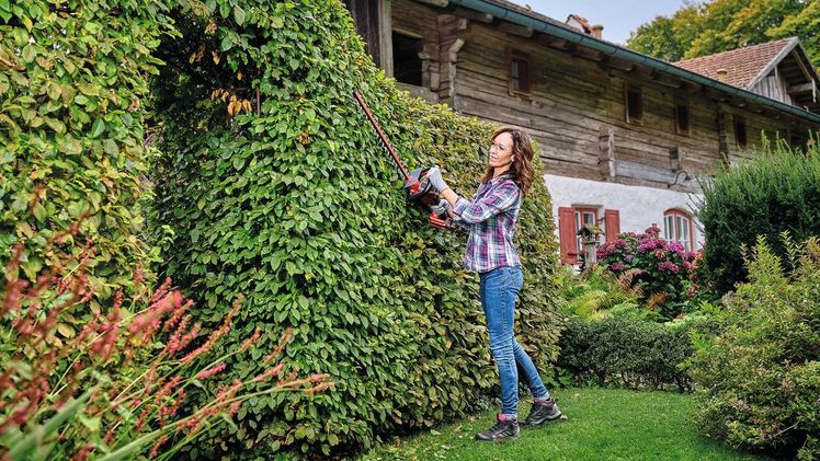 Erst kürzlich konnte Einhell in einem Vergleichstest der Stiftung Warentest die herausragende Qualität seines Heckenscheren-Sortiments unter Beweis stellen. Bild: Einhell.