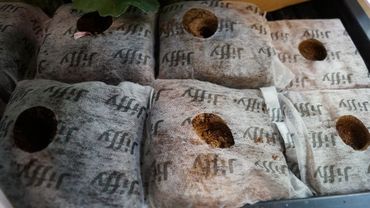 Erwähnung für den Growblock. Bild: GABOT.