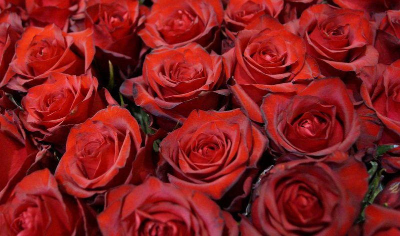 Fdf Positives Feedback Fur Den Valentinstag 2019 Gabot De