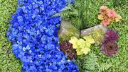 Dass Friedhofsgärtner wahre Könner ihres Fachs sind, beweist eindrücklich die Frühjahrsbepflanzung des Bereichs „Grabgestaltung und Denkmal“ auf der BUGA in Erfurt. Bild: DBG. 