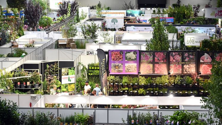 Größer und internationaler: GREEN IS LIFE 2026 stellt Pflanzen in den Mittelpunkt. Bild: GREEN IS LIFE.