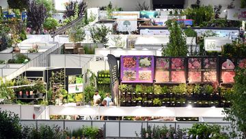 Größer und internationaler: GREEN IS LIFE 2026 stellt Pflanzen in den Mittelpunkt. Bild: GREEN IS LIFE.