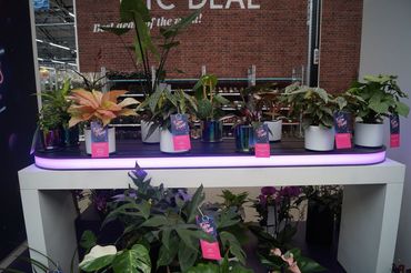 Future Plants by Waterdrinker in Aalsmeer. Bild: GABOT.