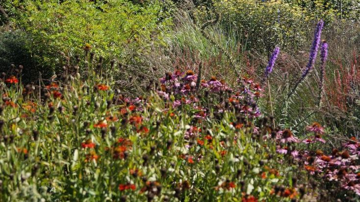 Blühender Staudengarten. Bild: GABOT.