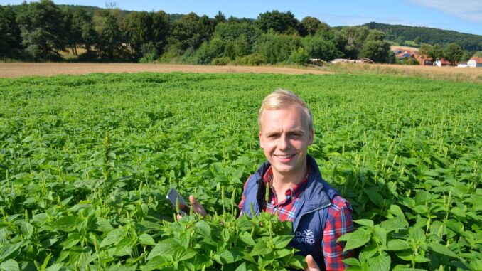 Malte Messerschmidt probiert den Anbau von Chia Bild: Landvolk Niedersachsen.