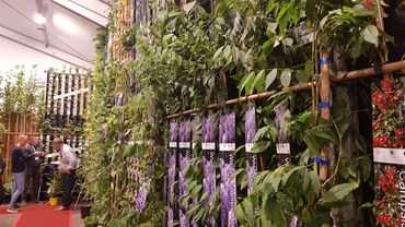 Impressionen von der GrootGroenPlus 2024. Bild: GABOT.