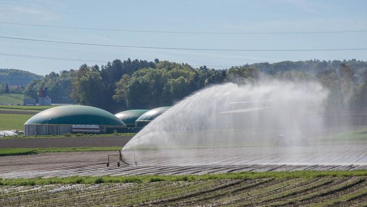 Wer in diesem Jahr nicht bewässern konnte, hatte wegen der Trockenheit ein Problem. Bild: David Eppenberger, lid.