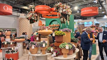 Impressionen von der IPM ESSEN 2026. Bild: GABOT.