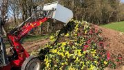 Krise trifft Herz des Gartenbaus. Bild: Marathon Flowers.