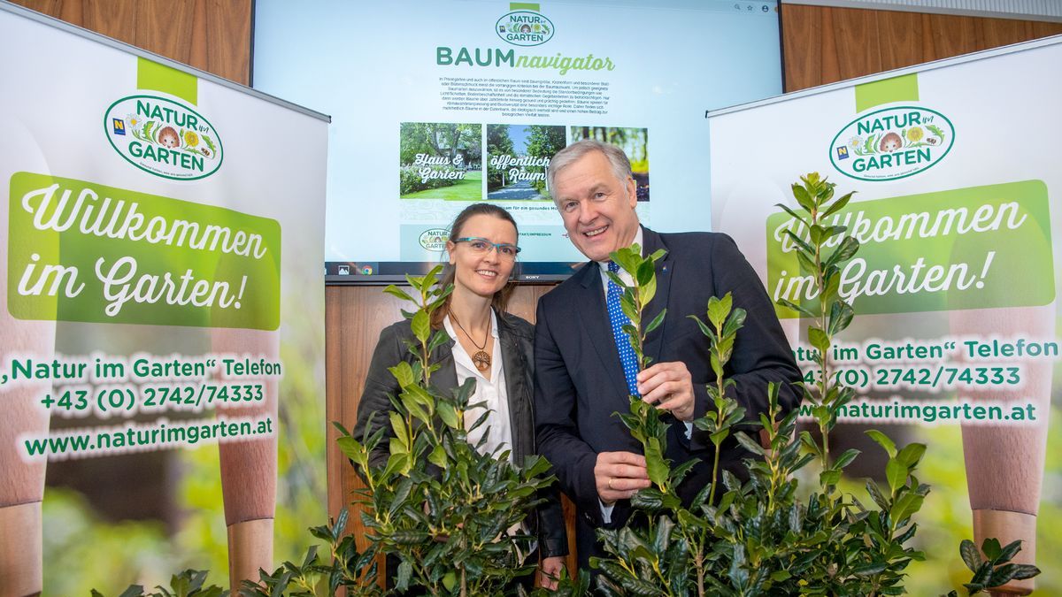 WillBAUMhaben Mit Wenigen Klicks Zum Wunschbaum Gabot de
