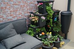 POS Green Solution Island "Naturnahe Gärten - Outdoor Living". Bild: GABOT.