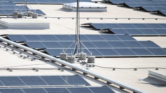 Kaufland betreibt auf dem Dach seines Logistikzentrums in Lübbenau die bisher größte Photovoltaikanlage des Unternehmens und bietet damit auf insgesamt ca. 72.000 Quadratmetern ganz viel Fläche für nachhaltige Energiegewinnung. Bild: Kaufland.