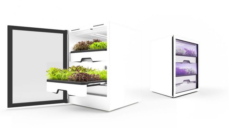 agrilution startet Vorverkauf für den plantCube. Bild: agrilution.