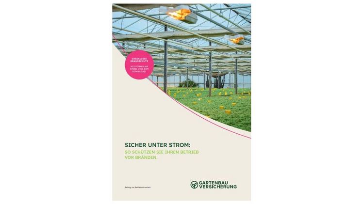 Der neue Beitrag zur Betriebssicherheit Nr. 39 "Sicher unter Strom" informiert über typische Brandursachen im Zusammenhang mit elektrischen Anlagen und zeigt, wie Gartenbaubetriebe wirksam vorbeugen können. Bild: © Gartenbau-Versicherung 2026.