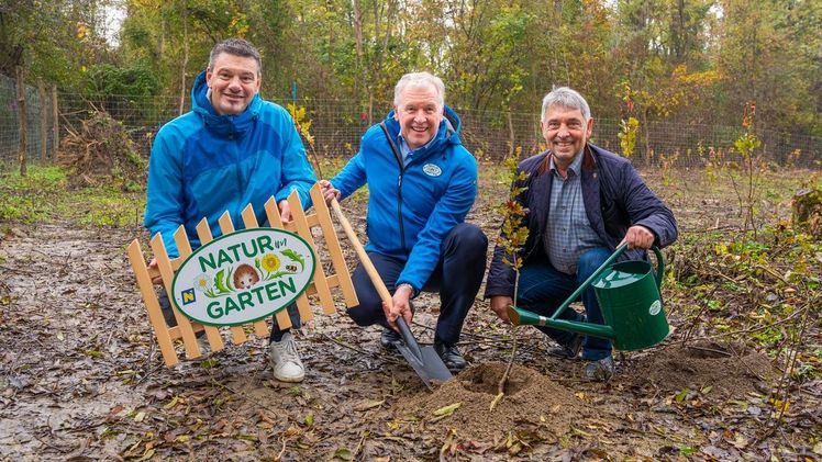 Jede Gemeinde des Landes ist mit Jungbaum-Setzlingen dabei. Bild: Natur im Garten.