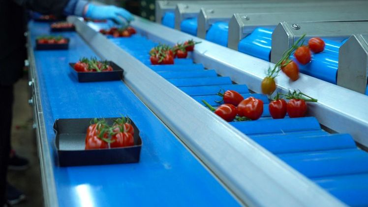 Sorma Group stellt neue Wiegemaschine auf der Macfrut vor. Bild: Sorma Group.