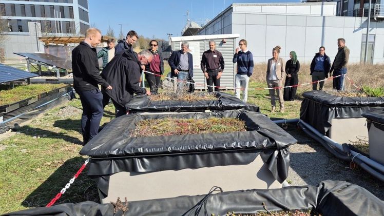 Bei der Aktionswoche Gebäudegrün dreht sich rund um die Dach-, Fassaden- und Innenraumbegrünung sowie Entsiegelung. Bundesweit finden unter anderem Führungen und Seminare statt. Bild: Bundesverband GebäudeGrün.