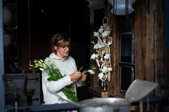 Die Lisianthus Christmas Show. Bild: 2Dezign Lisianthus.