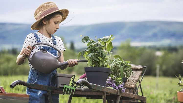 So schön kann Blumenpflege sein. Bild: Poétic.