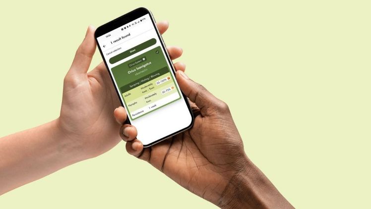 Die aktualisierte Side Effects-App von Biobest verbessert den Nützlingsschutz. Bild: Biobest.