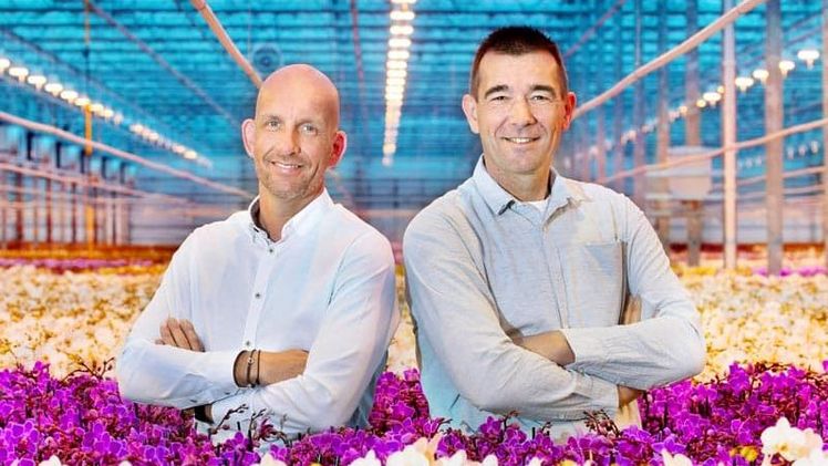 Die Brüder Herman und John de Vreede. Bild: De Vreede Holland.