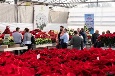 Impressionen von den Open Days bei Lazzeri. Bild: Lazzeri.