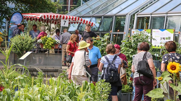 Der Tag der offenen Tür der LWG findet am Sonntag, den 7.7.2024, in Veitshöchheim und Thüngersheim statt. Bild: Marco Drechsel © LWG Veitshöchheim.