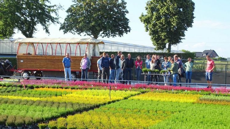 Das Versuchsfeld bei Canders & Germes in Straelen zeigte viele interessante Neuheiten. Bild: Azerca/Bettina Banse.