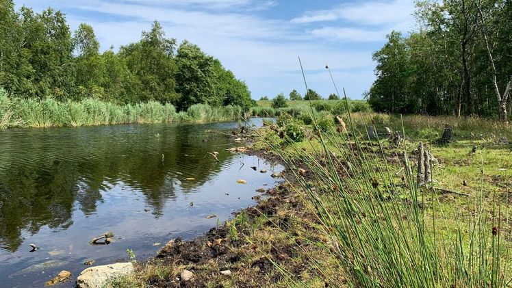 Der Großteil des Glyphosats in unseren Flüssen stammt nicht aus der Landwirtschaft. Bild: GABOT.