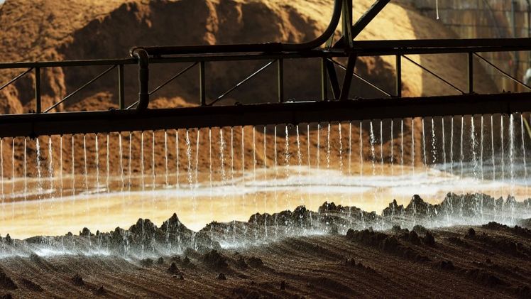 Interessante Substratalternativen wählen mit Legro. Bild: Legro.