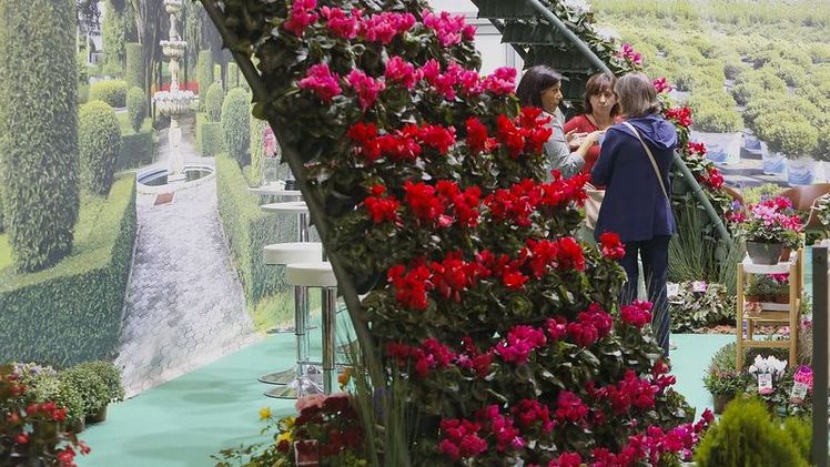 Das Team der Iberflora konzentriert sich darauf, die Besucher durch vielfältige kommerzielle Vorschläge, Schulungen und Unterhaltung anzuziehen. Bild: Iberflora.