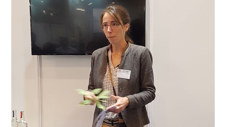 Emilie Carré von Pépinières LAFORET hat die neue ILEX paraguariensis Garden2Cup® auf der IPM ESSEN 2024 vorgestellt. Bild: GABOT.