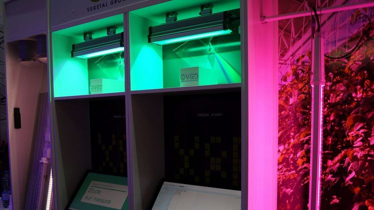 VGD Vegetal Grow Development hat auf der SIVAL 2020 in Angers eine neue Pflanzenbeleuchtungsplattform vorgestellt. Bild: GABOT.