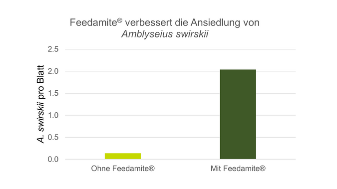 Feedamite® ermöglicht die frühzeitige Etablierung von Raubmilben. Grafik: Biobest.