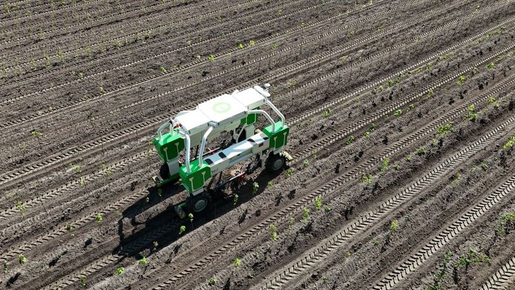 Der TED Roboter zur mechanischen Unkrautbekämpfung. Bild: Schachtschneider. Der TED Roboter zur mechanischen Unkrautbekämpfung. Bild: Schachtschneider.