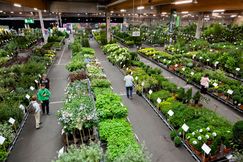 Überblick über die Halle der Ordertage. Bild: Landgard.