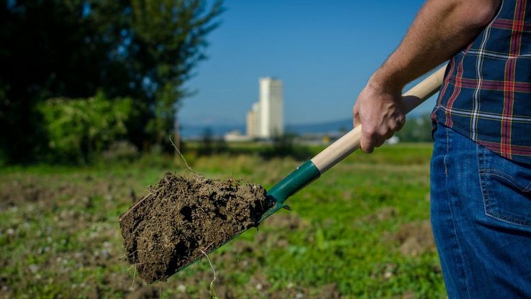 Fördern Betriebe den Humusaufbau, sollen sie künftig für diesen Beitrag zum Klimaschutz mit dem von Lagerhaus und RWA neu initiierten Programm "Zukunft Erde" zusätzlich belohnt werden. Bild: © RWA, Robert Gebauer. 