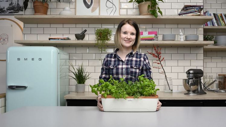 In dem stylischen Mini-Gewächshaus lassen sich zehn Quelltabletten platzieren. Bild: Romberg.